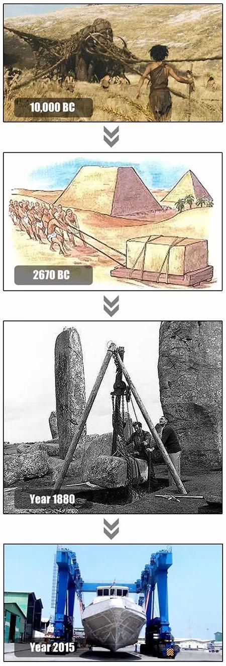 Pam Human Beings Need Crane.jpg Why Human Beings Need Crane.jpg